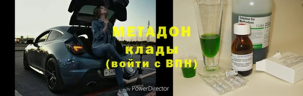 стаф Алзамай
