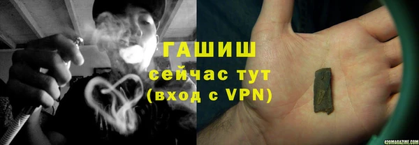 стаф Алзамай