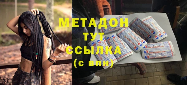 стаф Алзамай
