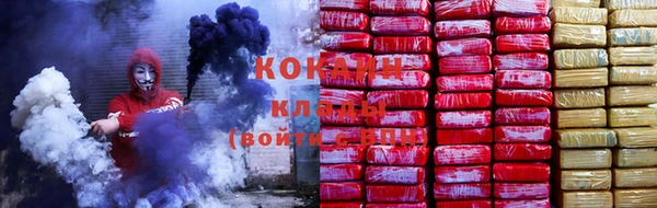 стаф Алзамай
