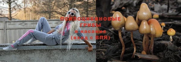 винт Алексин